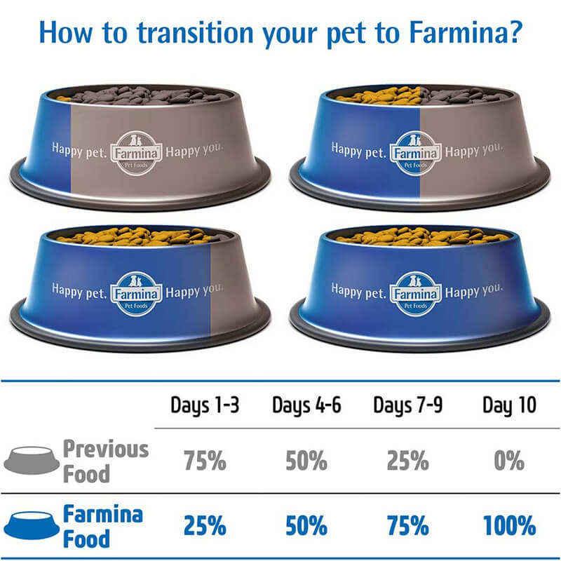 Farmina N&D Pumpkin Lamb & Blueberry Adult