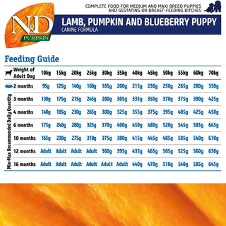 Farmina N&D Pumpkin Lamb & Blueberry Adult