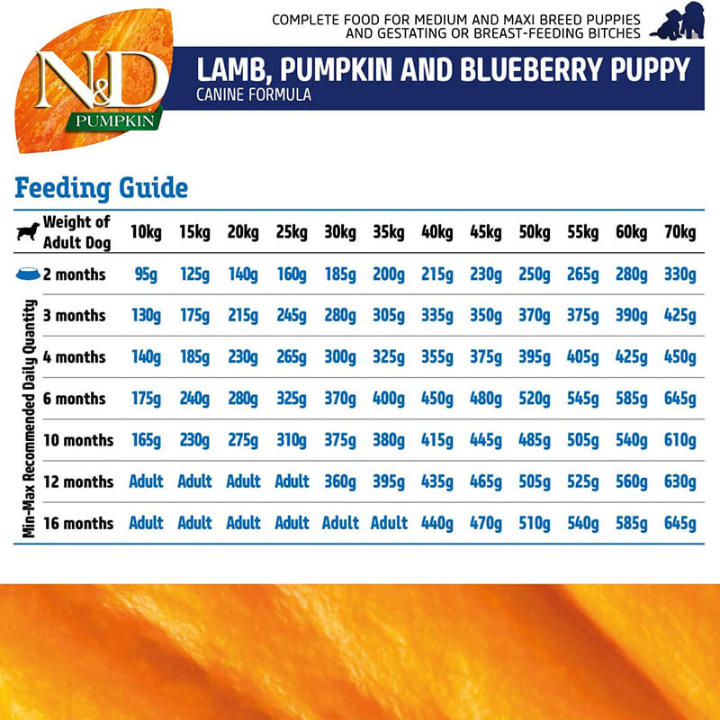 Farmina N&D Pumpkin Lamb & Blueberry Adult
