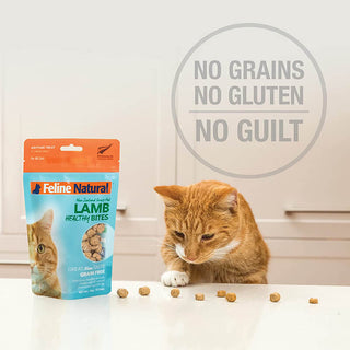 Feline Natural Healthy Bites New Zealand Grass-Fed Lamb