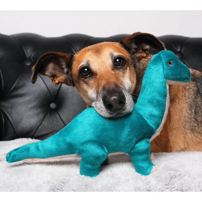 Fluff & Tuff Ross Brachiosaurus
