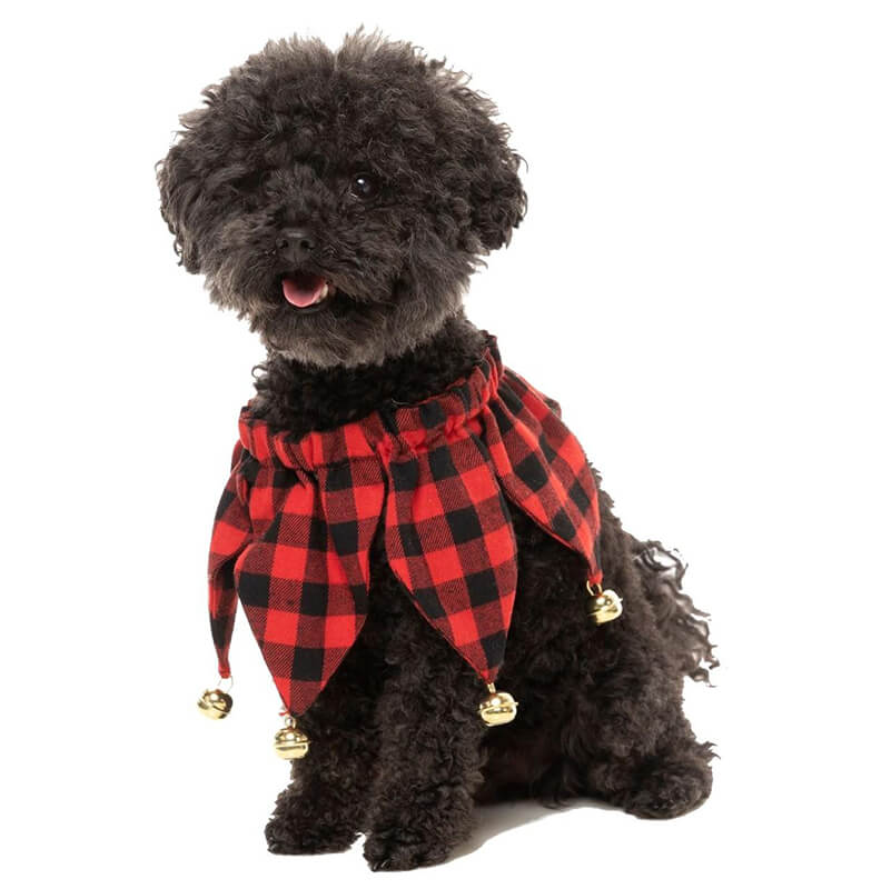Fuzzyard Jester Collar