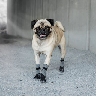 GF Pet Charcoal Booties