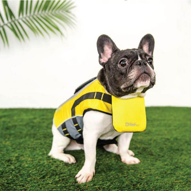 GF Pet Life Vest