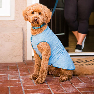 Gold Paw Sun Shield Tee