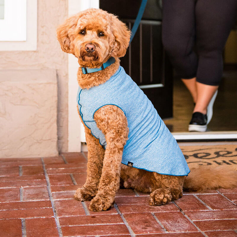 Gold Paw Sun Shield Tee