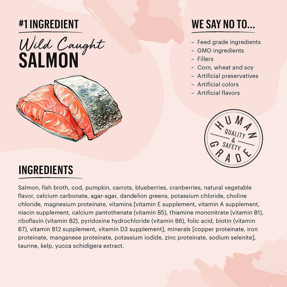 Honest Kitchen CÂTÉ Grain-Free Salmon & Cod Pate