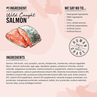 Honest Kitchen CÂTÉ Grain-Free Salmon & Cod Pate