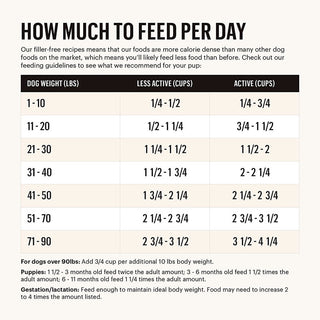 Honest Kitchen Clusters Grain-Free  Beef