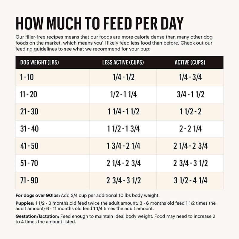 Honest Kitchen Clusters Grain-Free  Beef