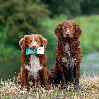Hownd YUP YOU STINK! 5-Pack Antibacterial Dog Wipes
