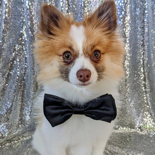 Huxley & Kent Black Satin Bow Tie