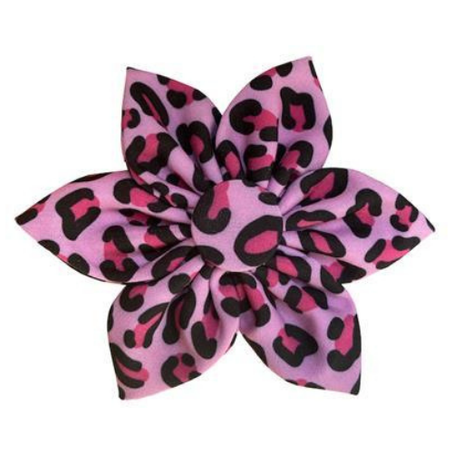 Huxley & Kent Pinwheel Pink Leopard