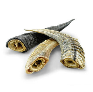 Icelandic+ Small Lamb Horn with Marrow