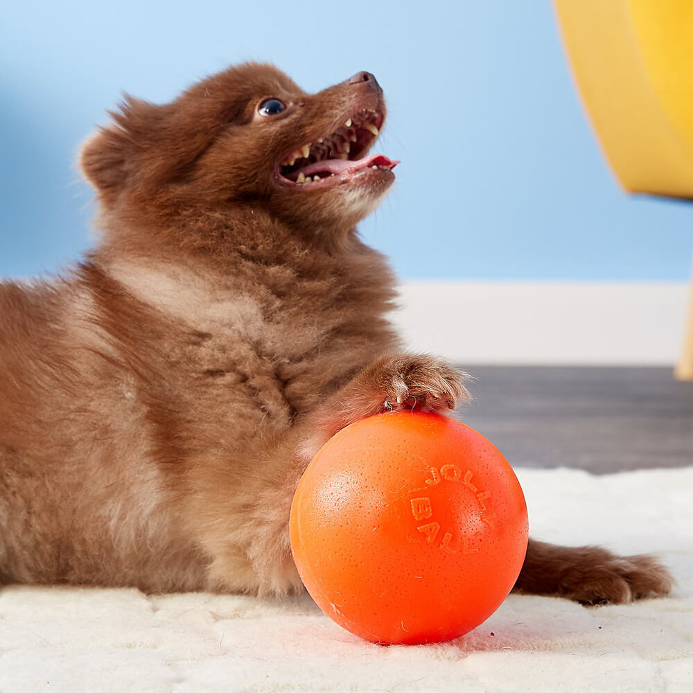 Jolly Pets Bounce-N-Play Ball