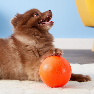 Jolly Pets Bounce-N-Play Ball