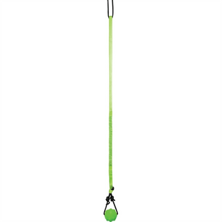 Jolly Pets Tree Tugger Bungee