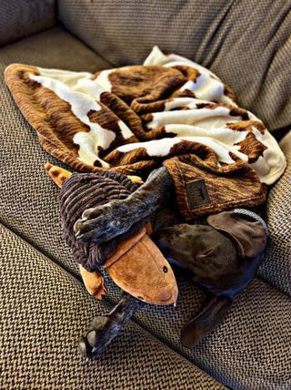 Tall Tails Blanket Cowhide
