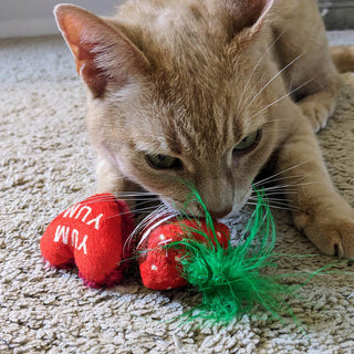 Kittybelles Chocolate Strawberry/Convo Heart 2pk Cat Toy