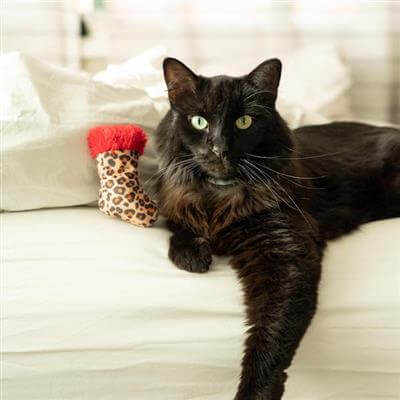 Kittybelles Leopard Stocking Catnip Toy