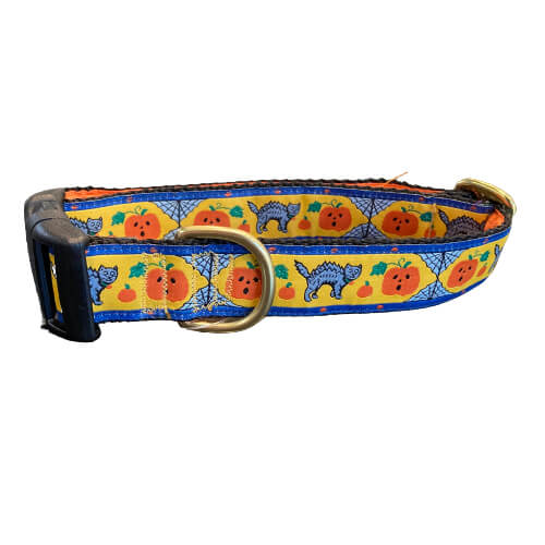 Mackenzie Collar Pumpkins & Cats
