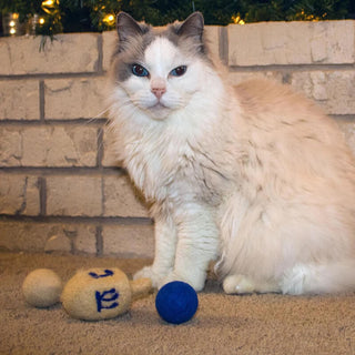 Midlee Hanukkah Felt Wool Cat Toy Set