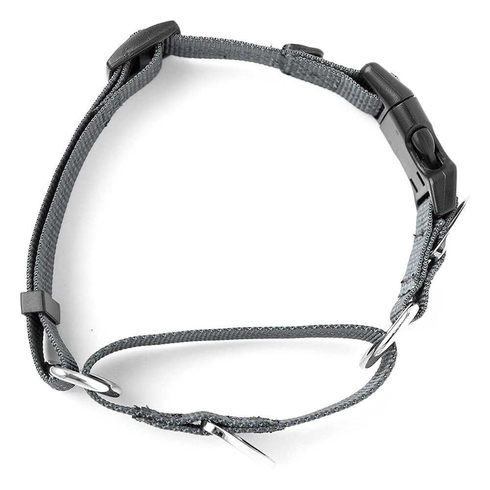 Mighty Paw Martingale Nylon Cinch Collar