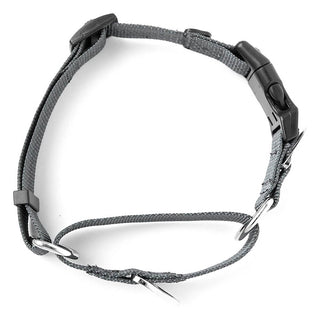 Mighty Paw Martingale Nylon Cinch Collar