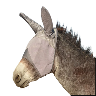Cashel Crusader Fly Mask