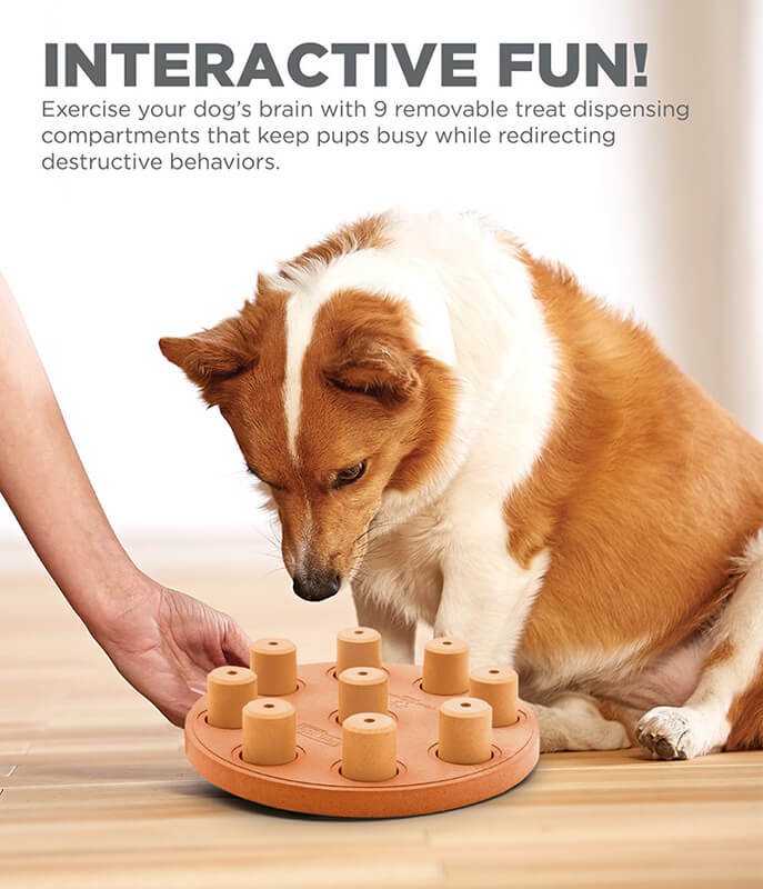 Outward Hound Nina Ottosson Composite Smart Dog Game