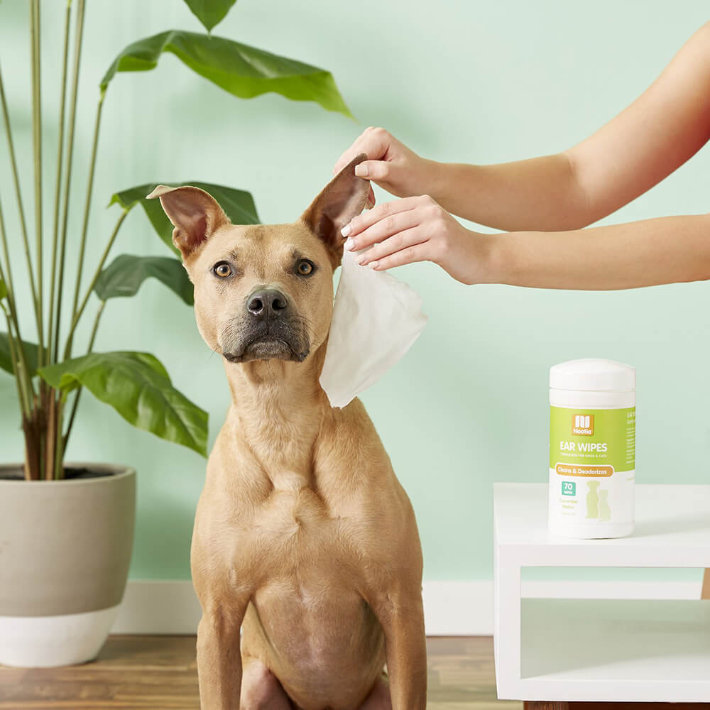 Nootie Otic Solutions Ear Wipes - Cucumber Melon