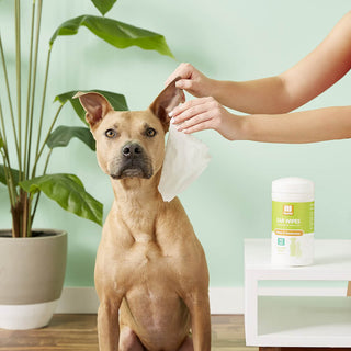 Nootie Otic Solutions Ear Wipes - Cucumber Melon