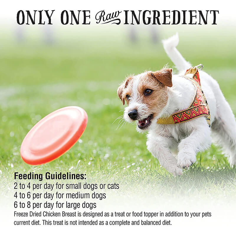 Northwest Naturals Freeze-Dried Chicken Breast