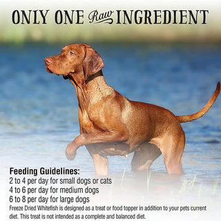 Northwest Naturals Freeze-Dried Whitefish