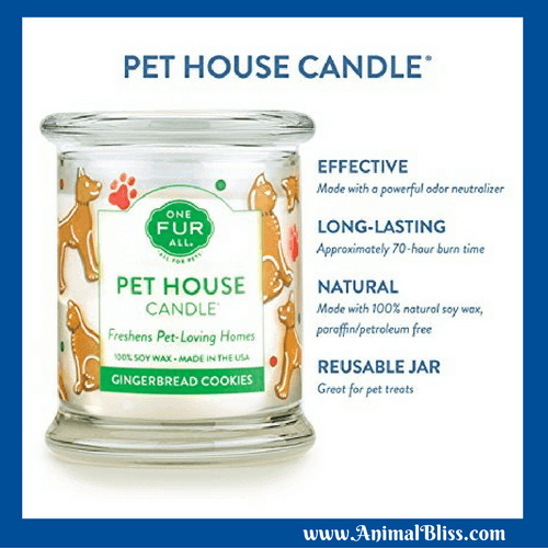 One Fur All Pet House Candle - Gingerbread Cookies