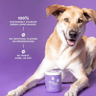 Open Farm Supplement Chews Hip & Joint