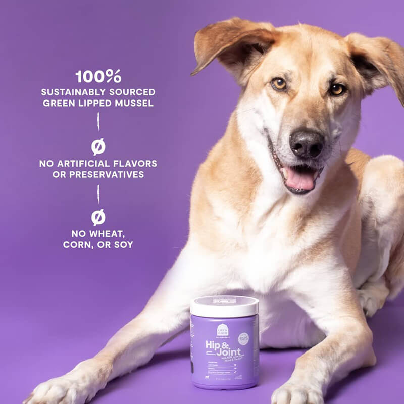 Open Farm Supplement Chews Hip & Joint