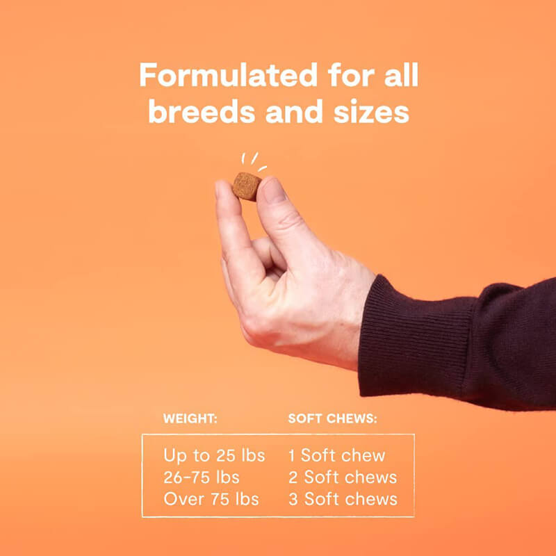 Open Farm Supplement Chews Probiotic