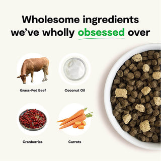 Open Farm RawMix Grain-Free Front Range