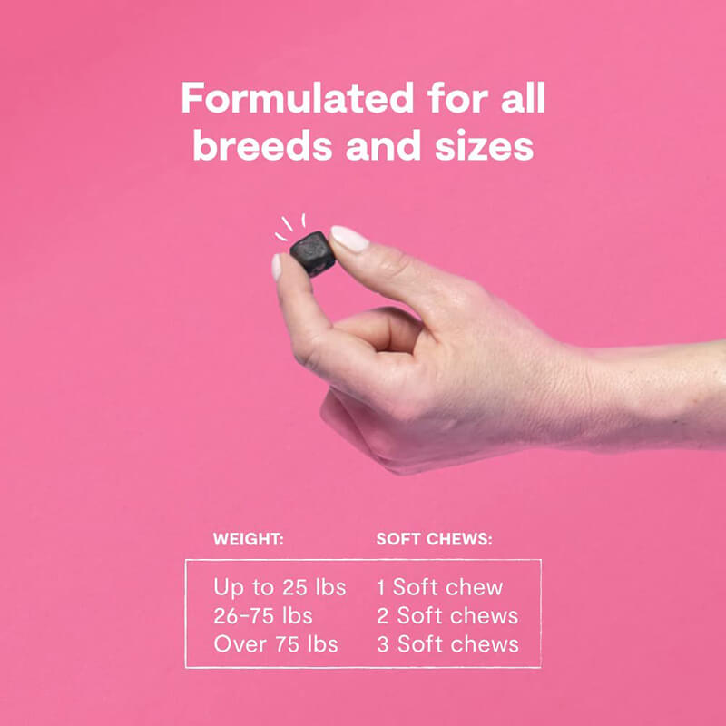 Open Farm Skin & Coat Supplement Chews