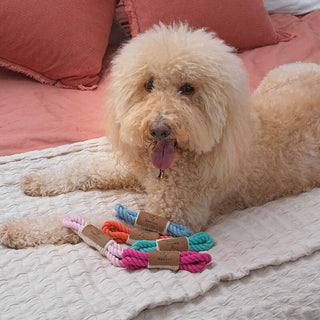 Ore' Pet Mini Loop Rope Toy