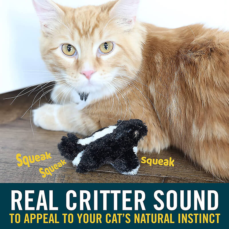 Our Pets Play N' Squeak Skunk