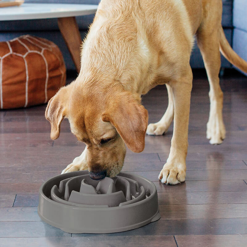 Outward Hound Fun Feeder Slo Bowl Drop Grey