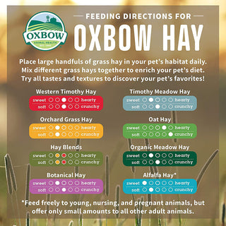 Oxbow Alfalfa Hay