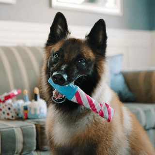 P.L.A.Y. Raise the Woof Party Horn Toy