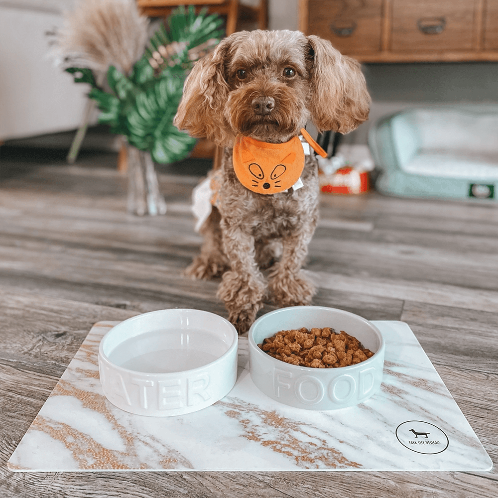 Park Life Designs Classic White Pet Bowl