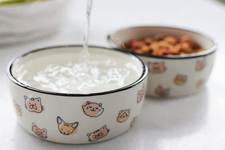 Pearhead Cat Faces Pet Dish