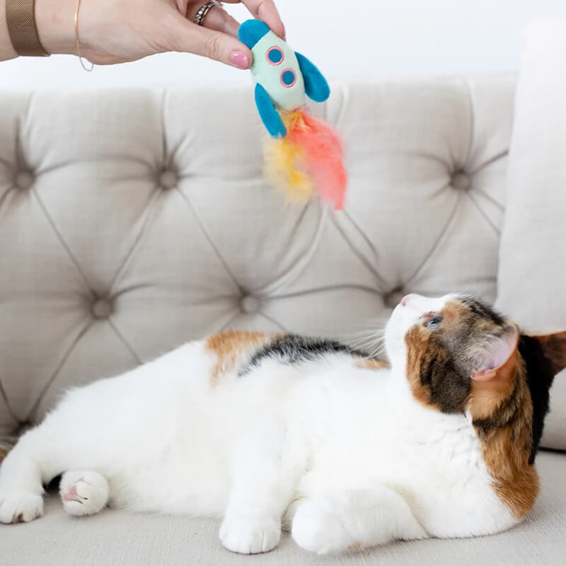 Pearhead Outer Space Cat Toy Set