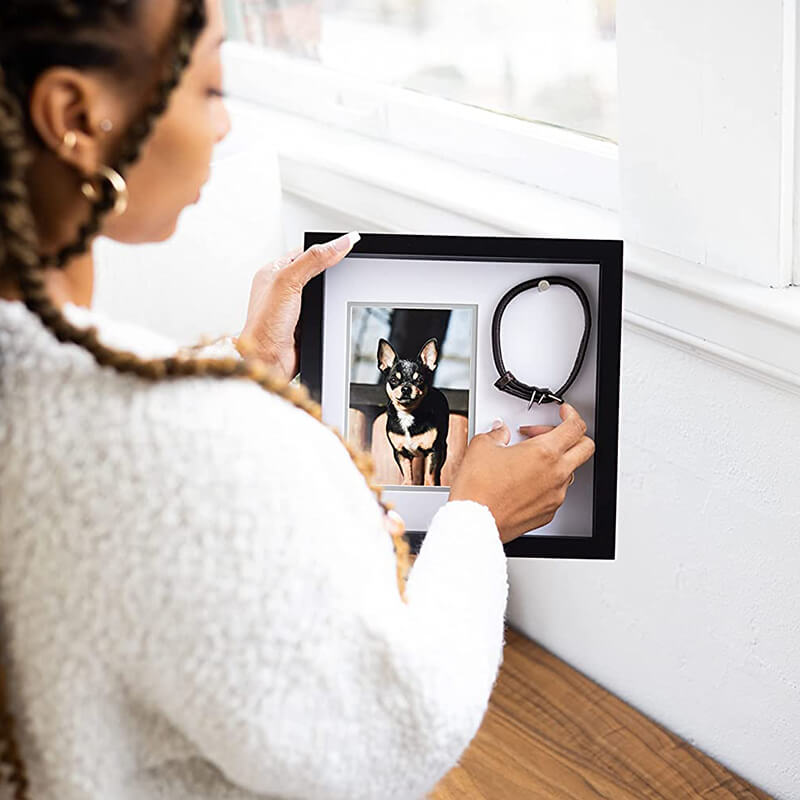 Pearhead Pet Collar and Photo Frame