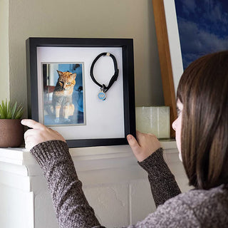 Pearhead Pet Collar and Photo Frame